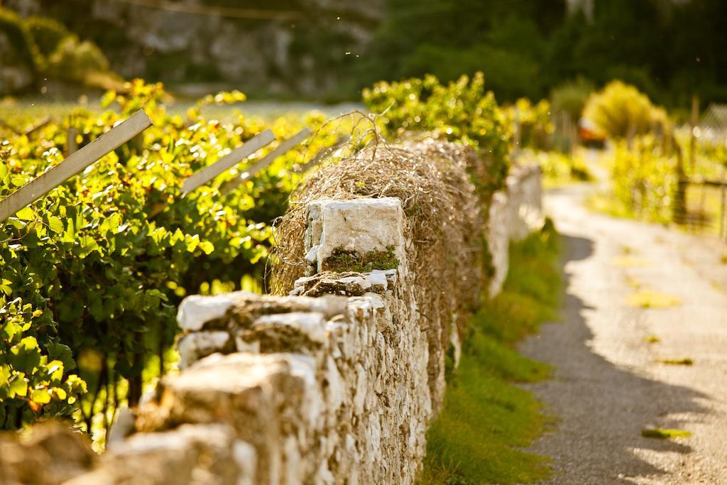 Hotel Continental - Tonelli Hotels Torbole Sul Garda ภายนอก รูปภาพ